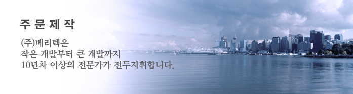 시스템통합(SI)